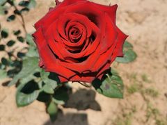 -山东大学(软件园校区)