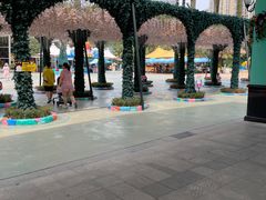 -海合安成都极地海洋公园