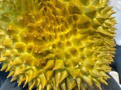 -鲜力达果品批发直销(无锡保利香槟店)