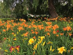 -长春公园(普阳街道)