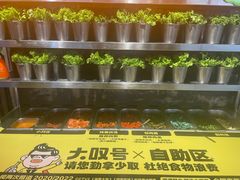 -大叹号·朝鲜族烤肉(潍坊泰华城店)