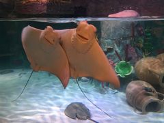 -沈阳海洋探索中心