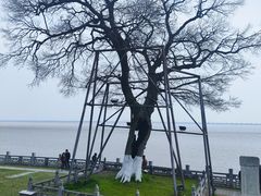 -观潮胜地公园