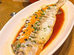 -耕渔小院·湖南鱼鲜(望城店)