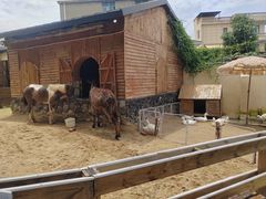 -HERRE·FARM 赫尔露营农场·团建聚会包场