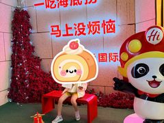 -海底捞火锅(丰尚国际广场店)