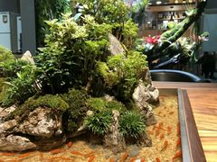 -森味薪火烧•烧鸟居酒屋•日本料理(望京店)