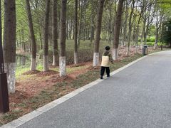 -苏州太湖国家湿地公园