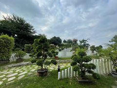 -东莞植物园