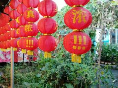 -姥家大锅台水库渔家