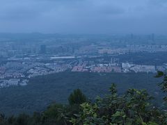 -紫金山山顶公园