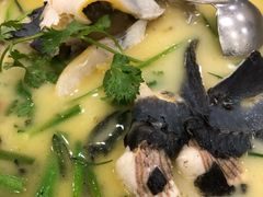 -饭怕鱼(阳光100店)