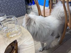-OZ cafe(南昌路店)