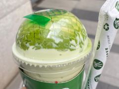 -茉酸奶(春熙路店)