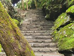 -石台牯牛降景区