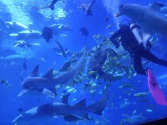 -太平洋海底世界