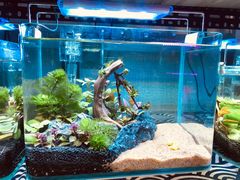 -三旗百汇商品城