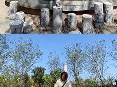 -春花秋色城市公园