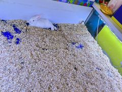 -万达广场(临港店)