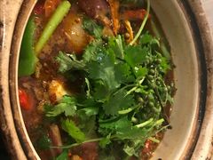 -随变烧烤麻辣鸡煲(佐敦店)