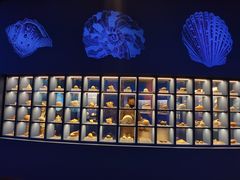 -金沙遗址博物馆