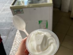 -洪馨椰子