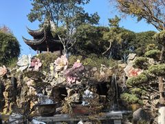 -苏州吴宫泛太平洋酒店