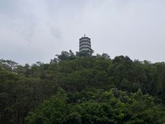 -深圳国际园林花卉博览园