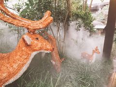 -杭州第一世界大酒店·云曼温泉