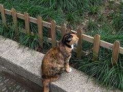 -西园寺素食(西园弄戒幢律寺店)