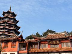 -铁山坪森林公园