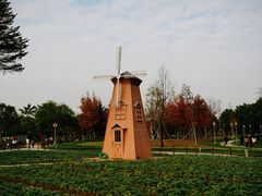 -顺峰山公园