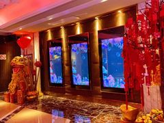 -纯K(打浦桥店)