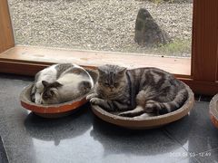 -东方艺术博物馆