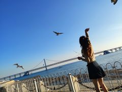 -布吉佳兆业广场