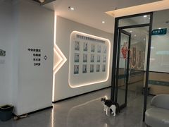 -贝利宠物医院·骨科·眼科·肿瘤转诊中心(南坪诊疗中心)