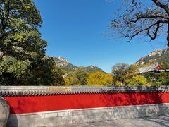 -青岛崂山太清宫