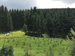 -鹞子沟国家森林公园