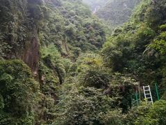 -峨眉山报国寺