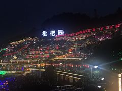 -枇杷园食为鲜火锅(南山店)