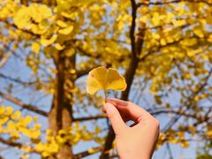 -梁鸿国家湿地公园