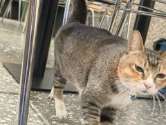 -皮蛋弟砂锅店(总店)