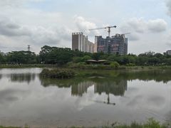 -福田红树林生态公园