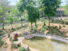 -石家庄市动物园