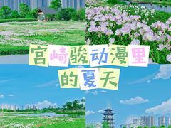 -洋湖国家湿地公园