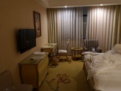 -维也纳国际酒店·上海虹桥火车站国家会展中心店