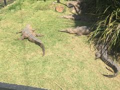 -可伦宾野生动物保护区