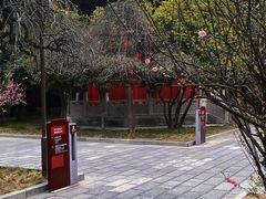 -西安碑林博物馆