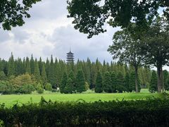 -宜兴龙背山森林公园