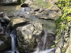 -安吉龙王山风景区